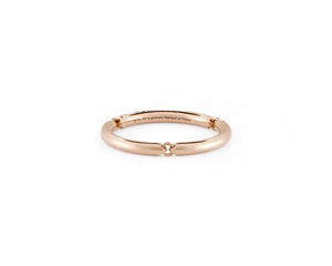 4g segment ring